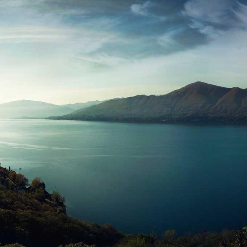 Pantofi de Alergare Air Max