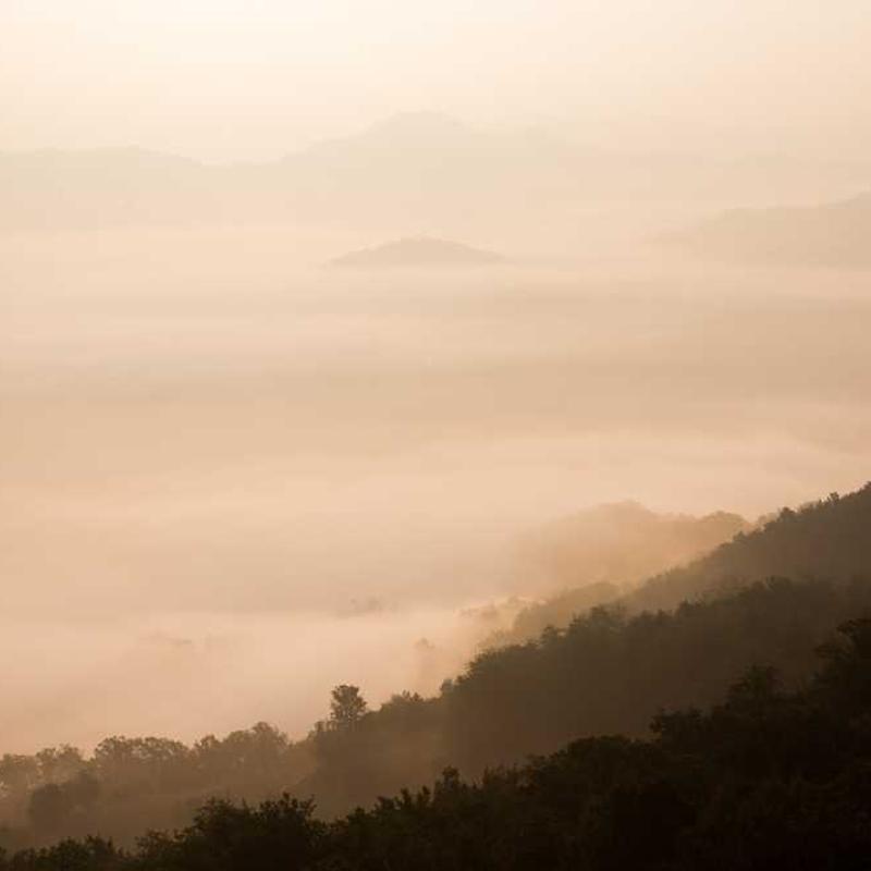 Smartphone Flagship X