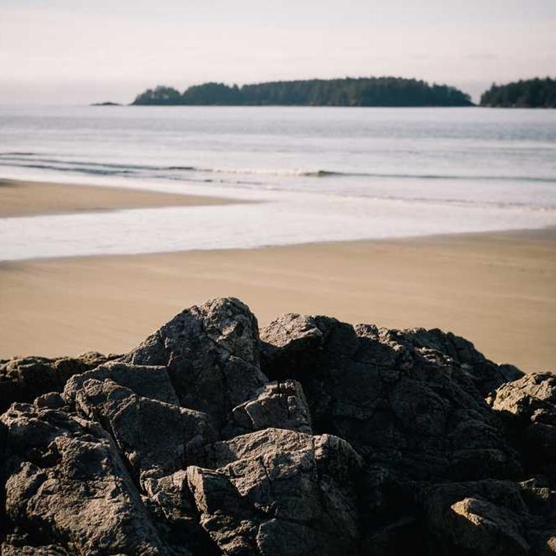 Sticlă de Apă din Oțel Inoxidabil